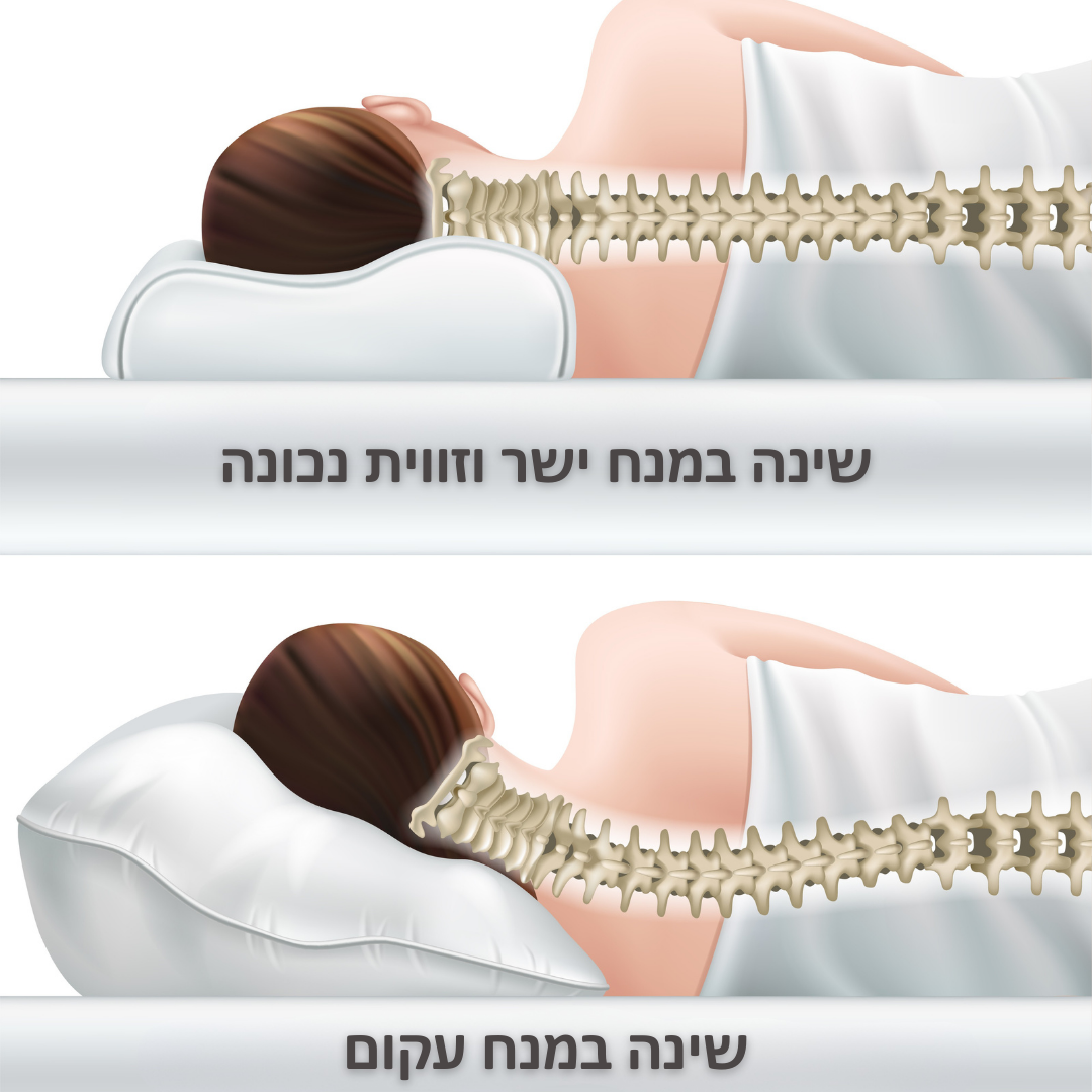 כרית אורתופדית משלימה