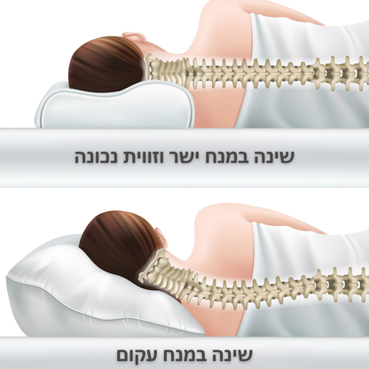 כרית אורתופדית משלימה